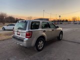 Used 2012 Ford Escape XLS image 5