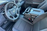 Used 2024 Chevrolet Silverado 1500 W/T w/ WT Fleet Convenience Package image 4