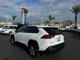Used 2023 Toyota RAV4 LE image 3