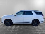 New 2025 Hyundai Palisade Calligraphy image 4