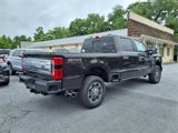 New 2025 Ford F250 Platinum image 4