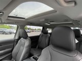 New 2025 Kia Carnival SX image 6