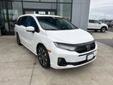 New 2025 Honda Odyssey Elite image 3