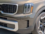 New 2025 Kia Telluride EX image 2