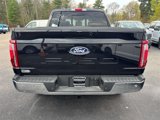 New 2025 Ford F150 Lariat w/ Equipment Group 501A Mid image 3