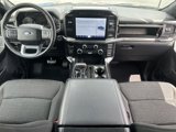 Certified 2023 Ford F150 XLT w/ Equipment Group 302A High image 2