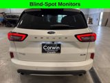 Certified 2024 Ford Escape ST-Line Elite image 5