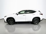 New 2026 Lexus NX 350 AWD image 4