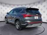 Used 2022 Hyundai Santa Fe SEL w/ Convenience + Premium Package image 3