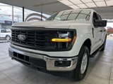 New 2025 Ford F150 XL w/ Equipment Group 103A High image 3
