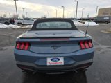 New 2025 Ford Mustang Convertible w/ Mustang Nite Pony Package image 4