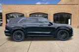 New 2025 Hyundai Palisade Calligraphy image 2
