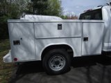 New 2025 Ford F250 XL w/ XL Chrome Package image 5