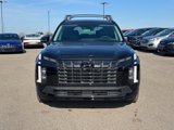 New 2025 Hyundai Palisade XRT image 3