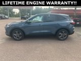 New 2025 Ford Escape ST-Line w/ Cold Weather Package image 5