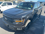 New 2025 Ford F150 XLT w/ Equipment Group 302A MID image 6