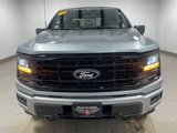 New 2025 Ford F150 XLT w/ Equipment Group 302A MID image 2
