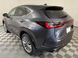 New 2025 Lexus NX 350h AWD w/ Premium Package image 5