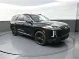 New 2025 Hyundai Palisade Calligraphy image 2