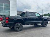 New 2025 Ford F250 Platinum image 4