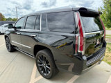 Used 2017 Cadillac Escalade Premium Luxury image 6
