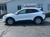 Used 2021 Ford Escape SE image 4