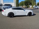 Used 2023 Ford Mustang GT w/ Mustang Nite Pony Package image 4