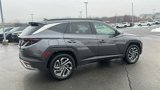 New 2025 Hyundai Tucson Limited image 4