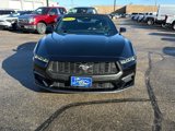Used 2024 Ford Mustang Premium image 3