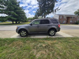 Used 2011 Ford Escape XLT w/ 202A Rapid Spec Order Code image 3