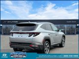 Certified 2022 Hyundai Tucson Limited image 6