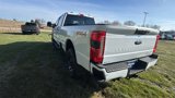 New 2024 Ford F250 XL w/ STX Appearance Package image 4