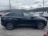New 2025 Hyundai Tucson Limited image 2