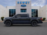 New 2025 Ford F150 Platinum image 3