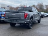 New 2025 Ford F150 Platinum image 3