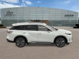 New 2026 INFINITI QX60 Luxe w/ Cargo Package image 4