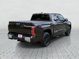 New 2025 Toyota Tundra 1794 Edition image 3