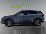 Used 2025 Ford Escape ST-Line Select image 2