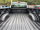 New 2024 Ford F150 XL image 5