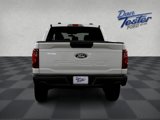 New 2025 Ford F150 STX w/ Equipment Group 201A FX4 image 5
