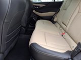New 2025 Subaru Outback Limited w/ Popular Package #2 image 5