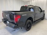 New 2025 Ford F150 STX w/ STX Black Appearance Package image 3