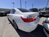 Used 2014 Honda Accord Sport image 6