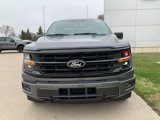 New 2025 Ford F150 XLT image 6