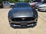 Used 2020 Ford Mustang GT w/ Equipment Group 301A image 2