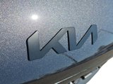 New 2025 Kia Carnival SX Prestige image 4
