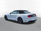 Used 2022 Ford Mustang Premium image 4