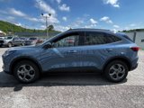 New 2025 Ford Escape ST-Line w/ Cold Weather Package image 6