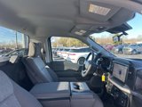New 2025 Ford F150 XL image 4