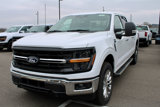 New 2025 Ford F150 XLT w/ Equipment Group 303A High image 4
